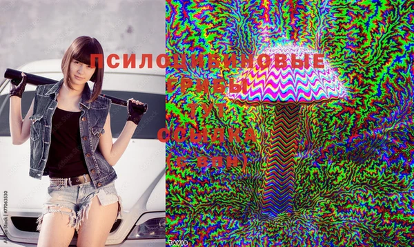 дживик Алзамай